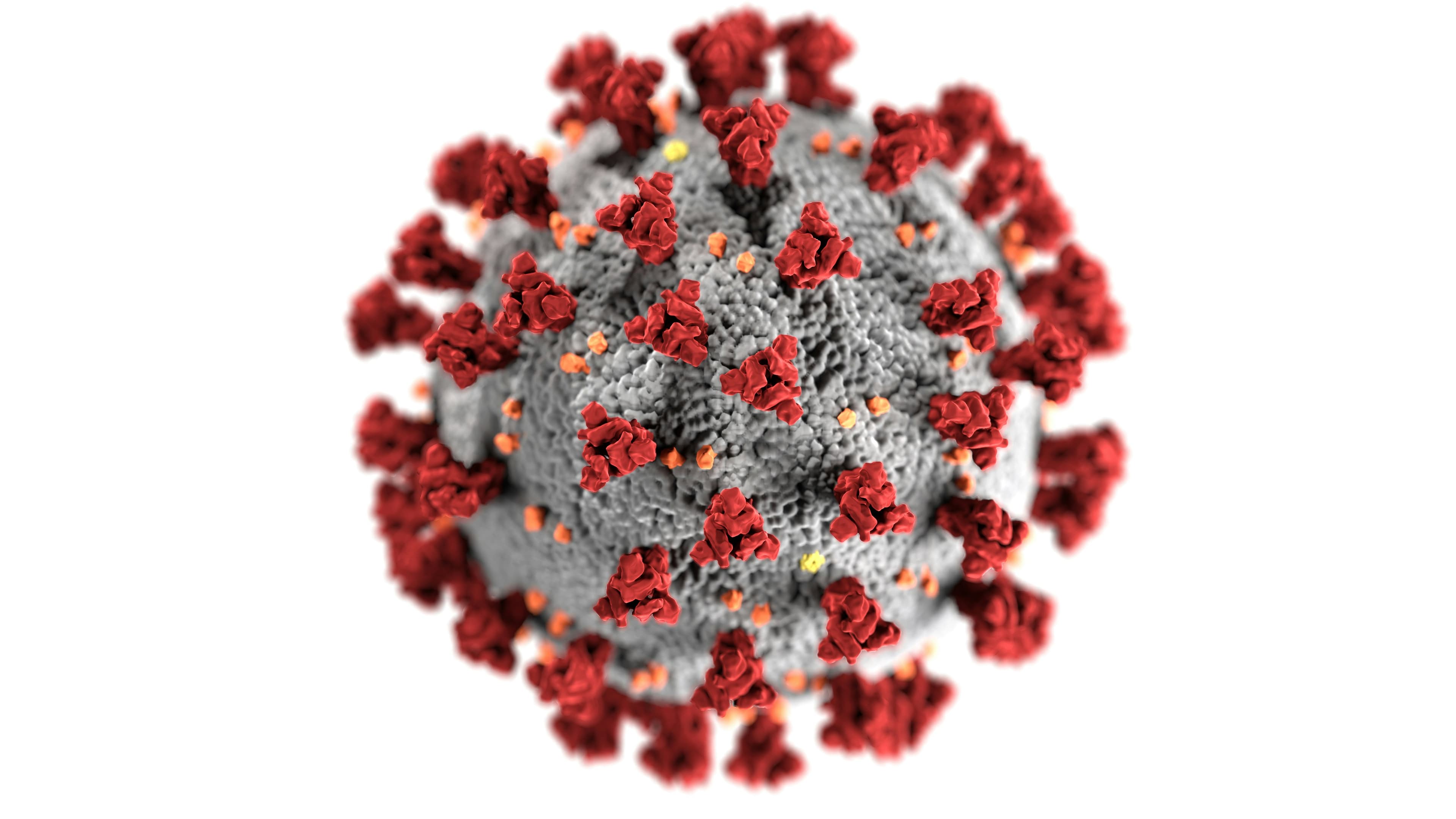 COVID-19 virus research and variant monitoring